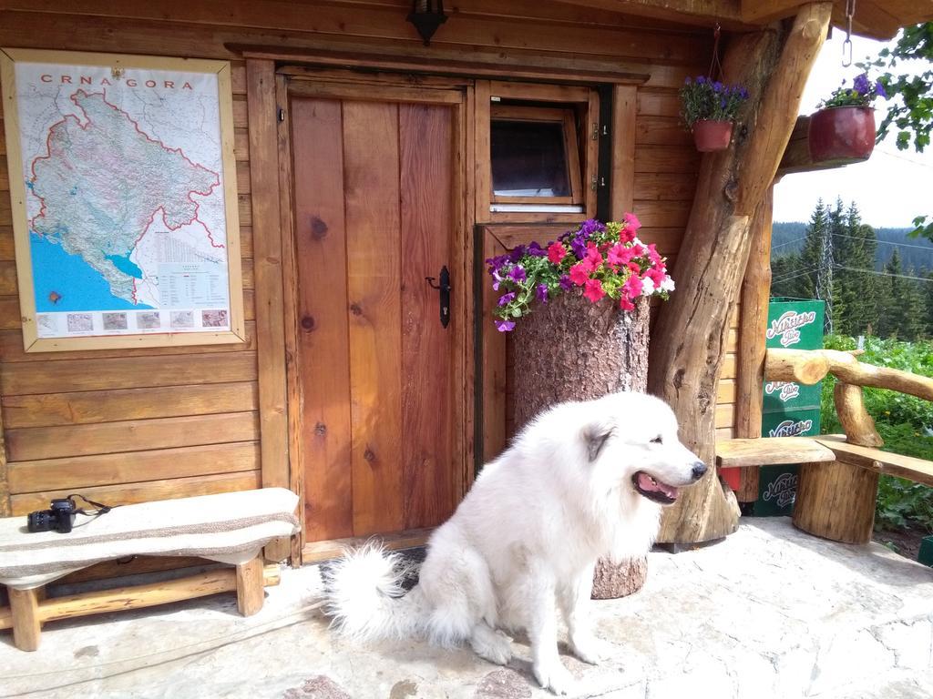 Guesthouse Planinarski Dom Neviden'O Žabljak Εξωτερικό φωτογραφία
