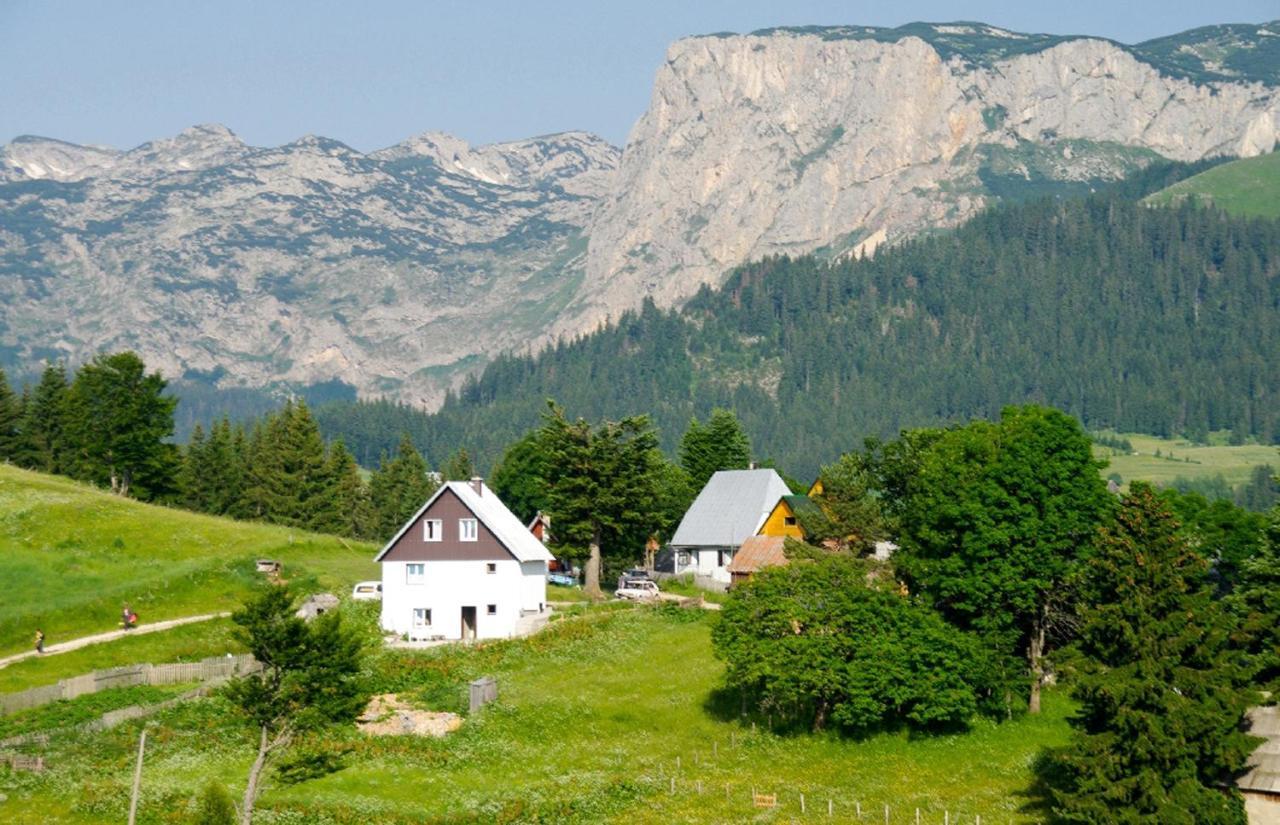 Guesthouse Planinarski Dom Neviden'O Žabljak Εξωτερικό φωτογραφία
